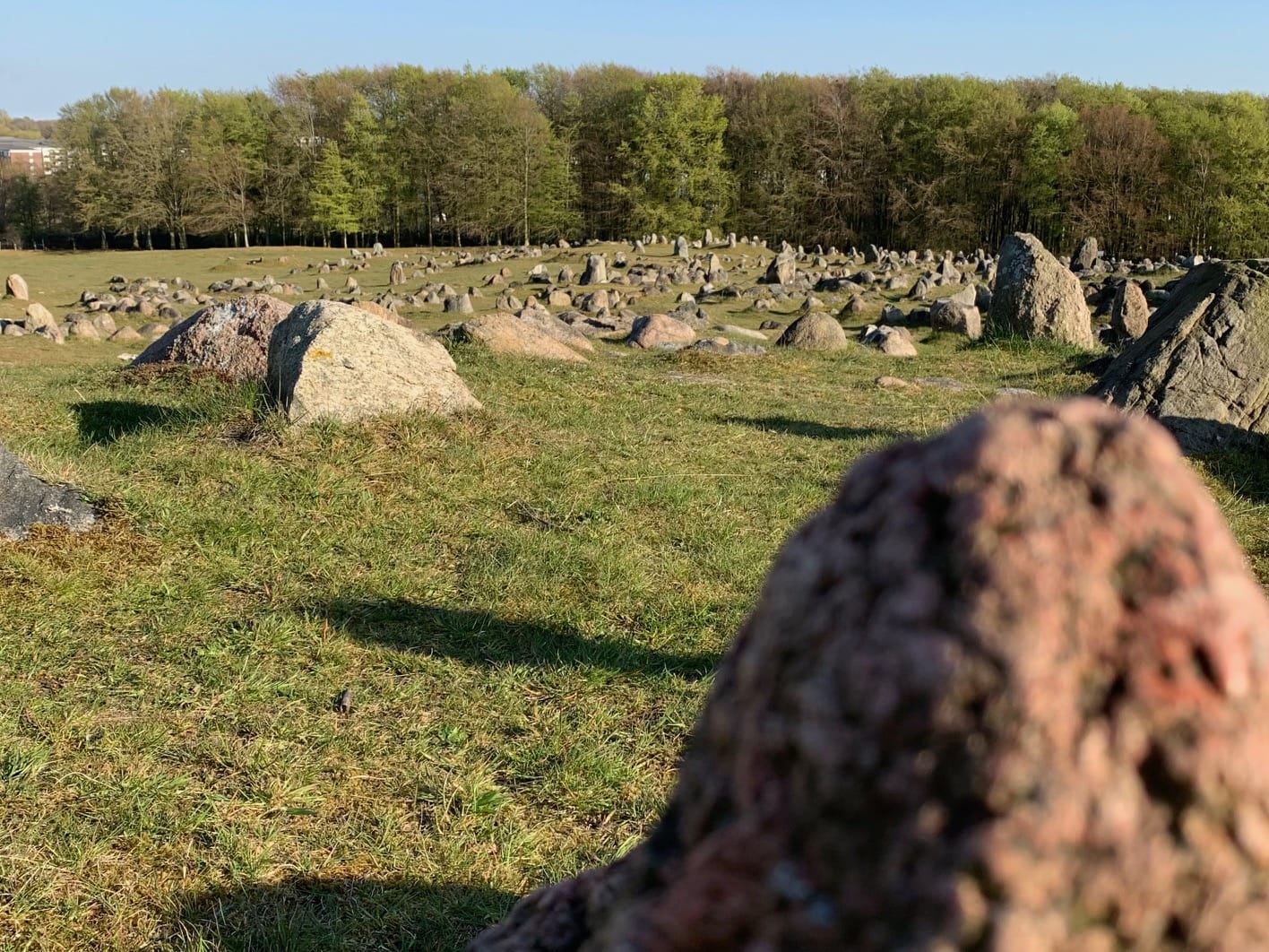 Lindholm Høje, een vikingbegraafplaats in Denemarken