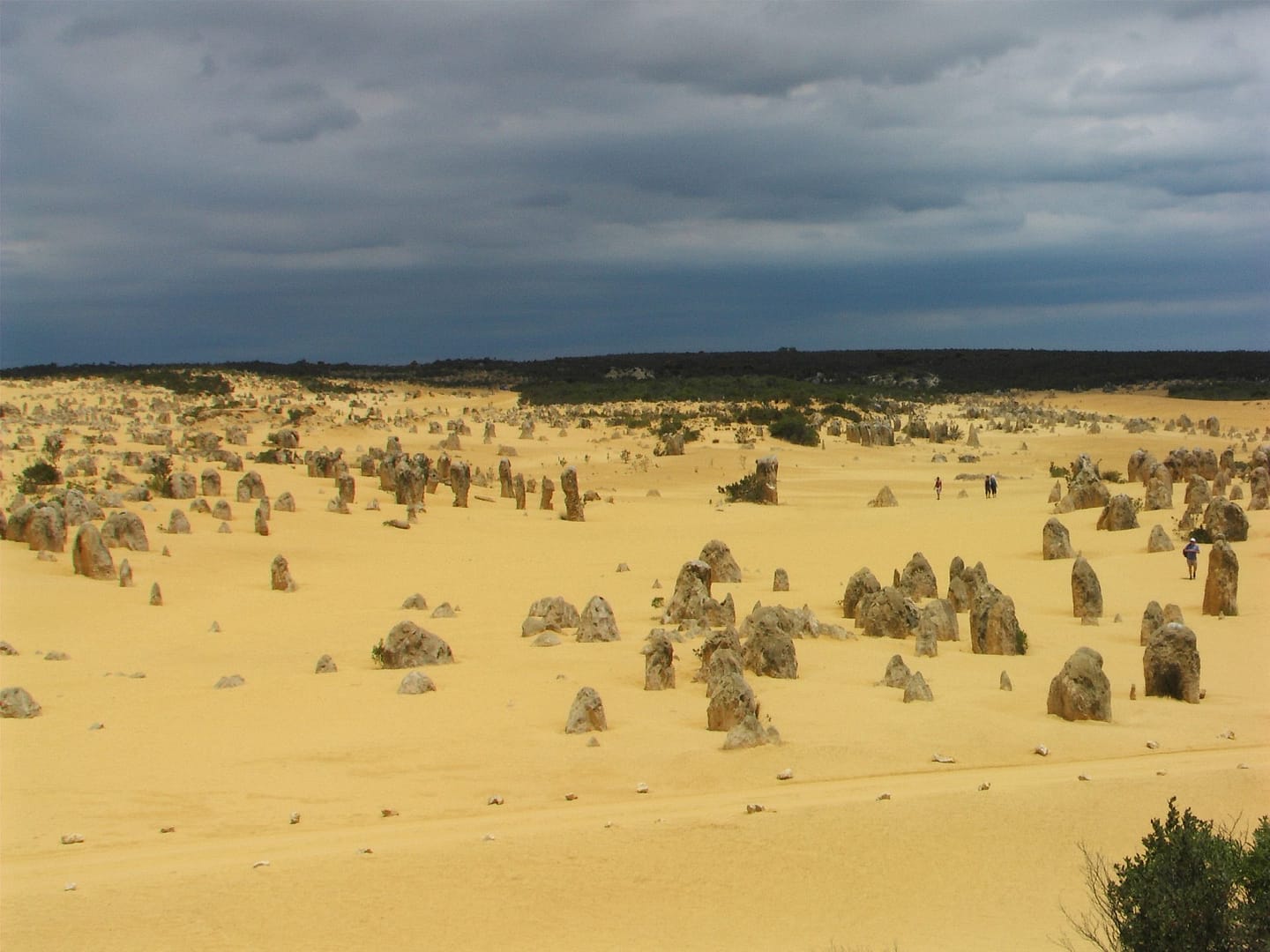 Pinnacles australie