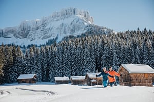 Een mooie winter in het Oostenrijkse Ausseerland Salzkammergut