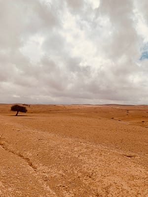 Vanuit Marrakech naar de Agafay woestijn