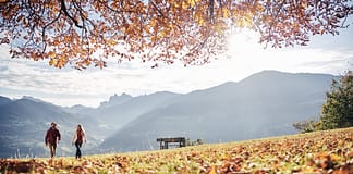 IDM Südtirol-Alto Adige:Manuel Ferrigato